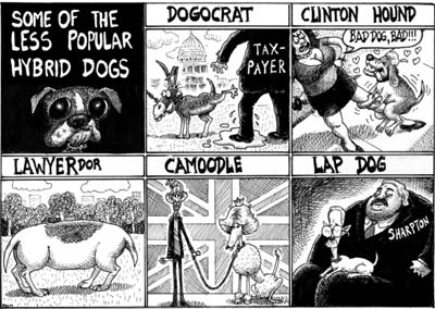 dogcartoon.jpg